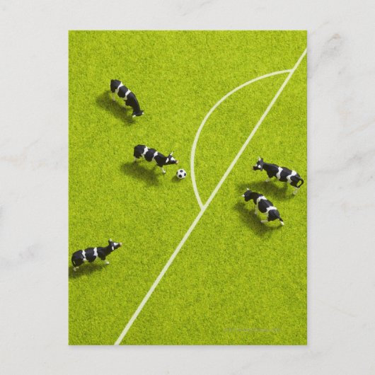 Carte Postale Les vaches jouant au football (Devant)