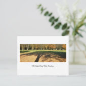 Carte Postale Les Vieux Chênes Ont De Larges Ombres (Debout devant)