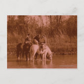 Carte Postale Les voleurs (Devant)