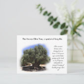 Carte Postale Les Vouves Olive Tree, symbole de la longue vie... (Debout devant)