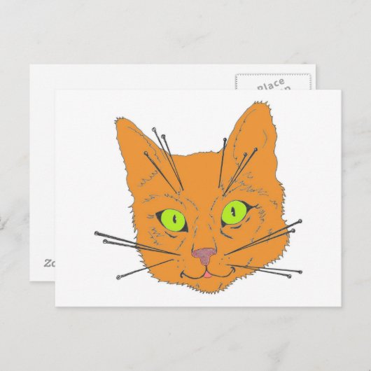 Carte Postale Les Whiskers de chat (Devant / Derrière)