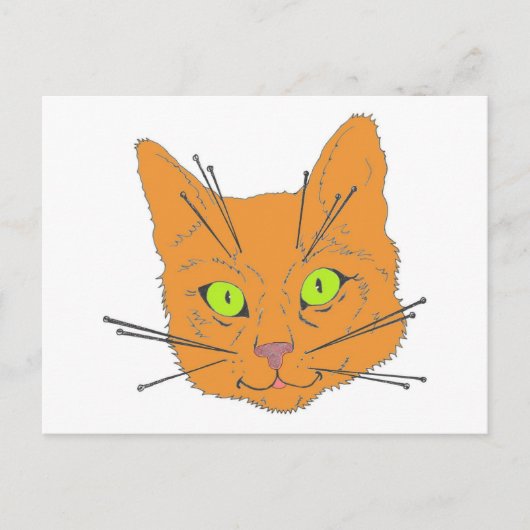 Carte Postale Les Whiskers de chat (Devant)