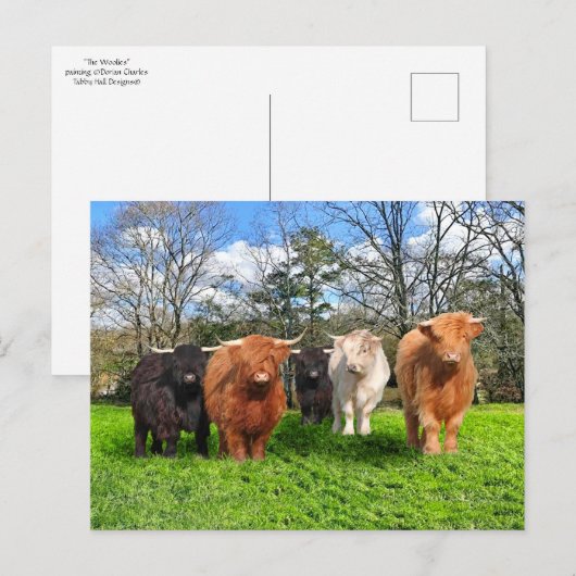 Carte postale "Les Woolies" (Devant / Derrière)