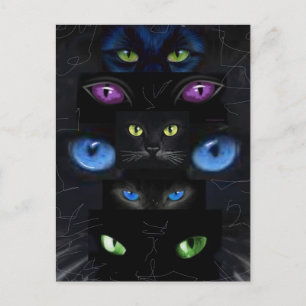 Carte Postale Les yeux de chat