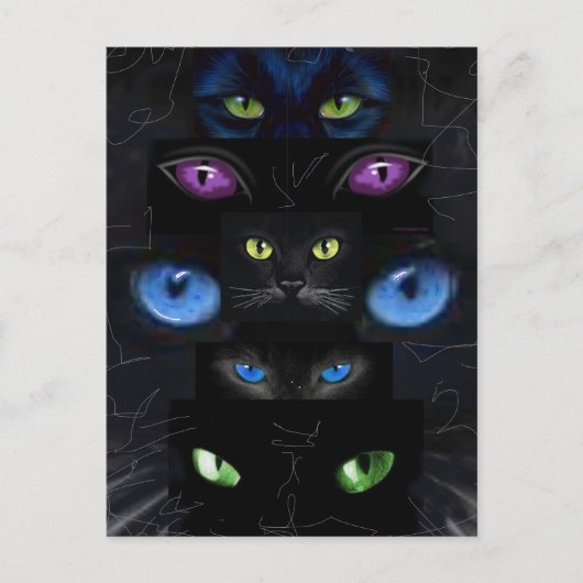 Carte Postale Les yeux de chat (Devant)