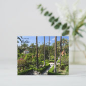 Carte Postale L'Espagne réelle - Séville (Debout devant)