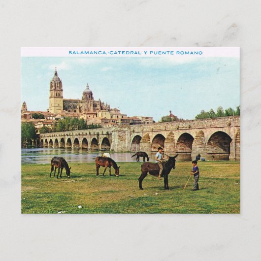 Carte Postale L'Espagne vintage, Salamanque, cathédrale (Devant)