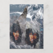 Carte Postale L'esprit autochtone en Alaska (Devant)