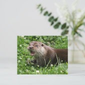 Carte Postale L'Esprit Joueur de la Otter Eurasienne (Debout devant)