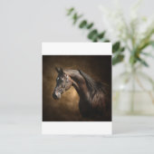 Carte Postale L'étalon (Debout devant)