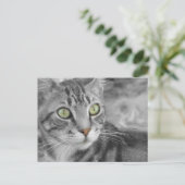 Carte Postale L'état des merveilles (Debout devant)