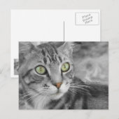 Carte Postale L'état des merveilles (Devant / Derrière)