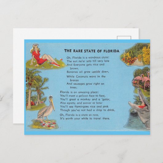 Carte Postale L'État rare de Floride (Devant / Derrière)