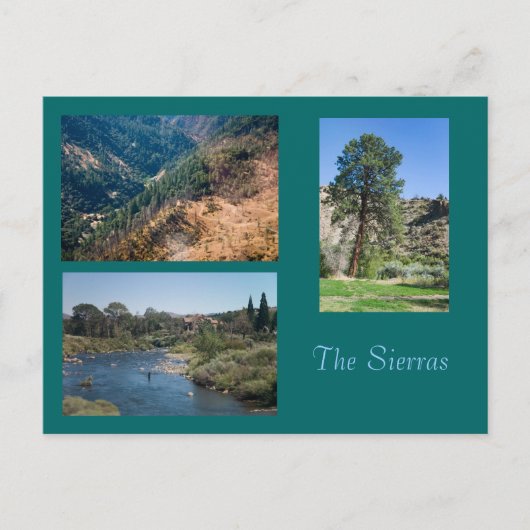 Carte Postale L'été aux Sierras (Devant)