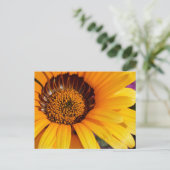 Carte Postale L'été en fleurs (Debout devant)