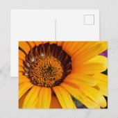 Carte Postale L'été en fleurs (Devant / Derrière)