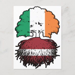 Carte Postale Lettonie Drapeau des racines d'arbre de l'Irlande 