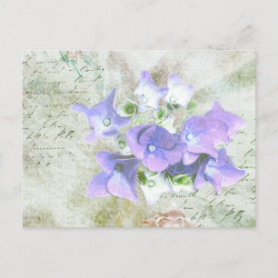 Carte Postale Lettre d'elfe