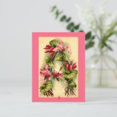 Carte Postale LETTRE Fleur Catherine Klein LETTRE A (Debout devant)