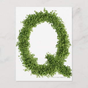 Carte Postale Lettre 'Q' en cresson sur arrière - plan blanc,