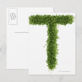 Carte Postale Lettre 'T' en cresson sur arrière - plan blanc, (Devant / Derrière)