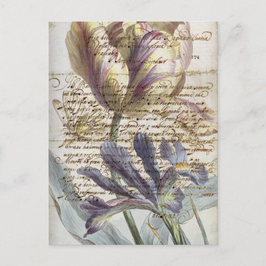 Carte Postale lettre vintage (Devant)