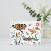 Carte Postale Lettre vintage et cachet de la poste d'insecte (Debout devant)