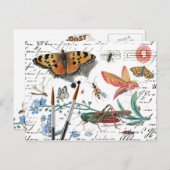 Carte Postale Lettre vintage et cachet de la poste d'insecte (Devant / Derrière)