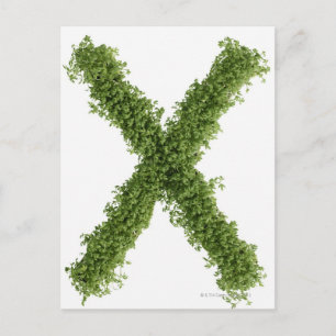 Carte Postale Lettre 'X' en cresson sur fond blanc,