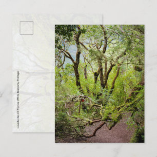 Carte Postale Levada das 25 Fontes Voyage et nature