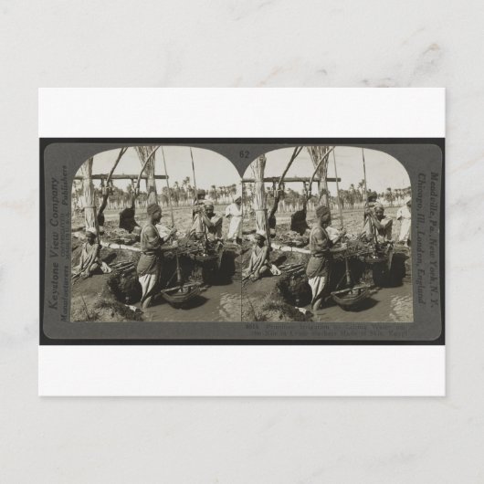 Carte Postale Levage de l'eau du Nil en Egypte vers 1928 (Devant)