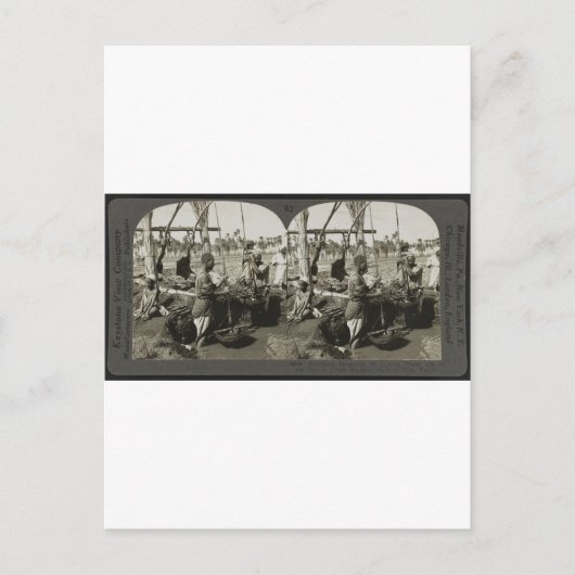 Carte Postale Levage de l'eau du Nil en Egypte vers 1928 (Devant)