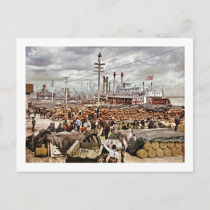 Carte Postale Levee at Canal Street New Orleans 1900