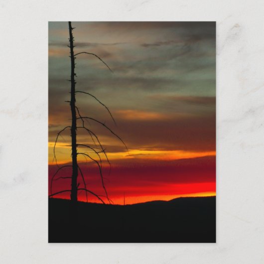 Carte Postale Levée de soleil de l'Oregon oriental (Devant)