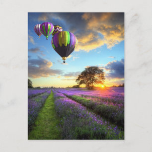 Carte Postale Levée de soleil et montgolfières au-dessus du cham