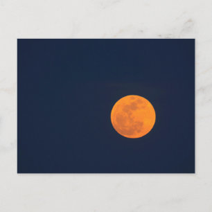 Carte Postale Lever de lune de la Super Lune   Savannah, Géorgie