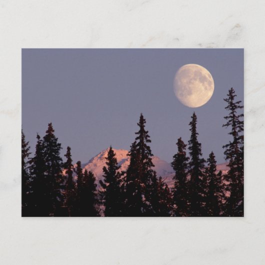 Carte Postale Lever de lune début de l'hiver | Anchorage, Alaska (Devant)