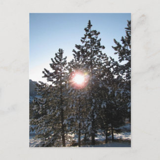 Carte Postale Lever de neige au Colorado