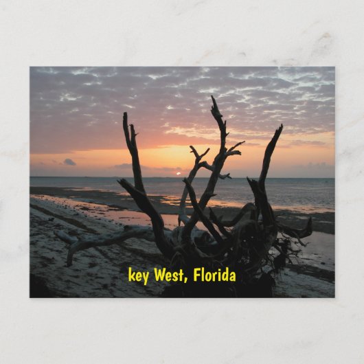 Carte Postale Lever de soleil à Key West Floride (Devant)