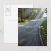 Carte Postale Lever de soleil à travers le brouillard le long de (Devant / Derrière)