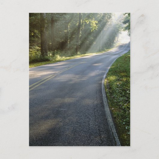 Carte Postale Lever de soleil à travers le brouillard le long de (Devant)