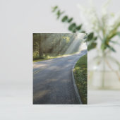 Carte Postale Lever de soleil à travers le brouillard le long de (Debout devant)