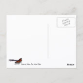 Carte Postale Lever de soleil au Jackson Dam Grand Teton Nationa (Dos)