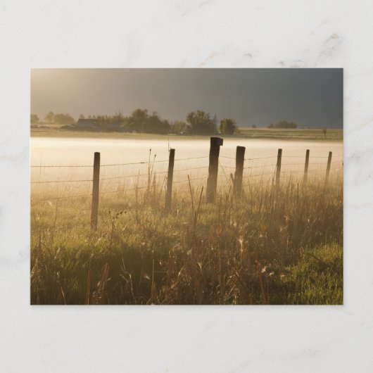 Carte Postale Lever de soleil éclairant le brouillard le long d' (Devant)