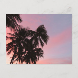 Carte Postale Lever de soleil hawaïen