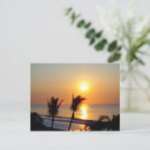 Carte Postale Lever de soleil - San Jose de Cabo (Debout devant)