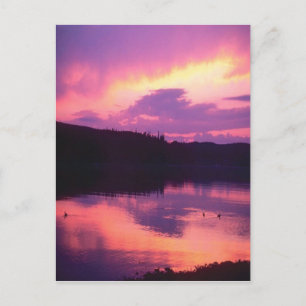 Carte Postale Lever de soleil superbe, violet reflété dans l'eau