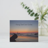 Carte Postale Lever de soleil sur Hunting Island (Debout devant)