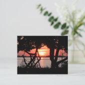 Carte Postale Lever de soleil sur la baie (Debout devant)