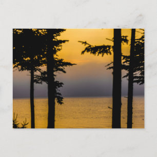 Carte Postale Lever de soleil sur la baie de Gouldsboro, Maine